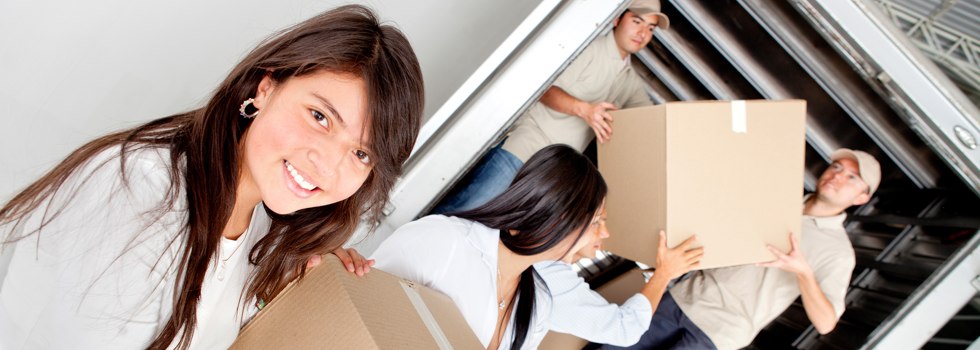 Professional Removalists Allenstown